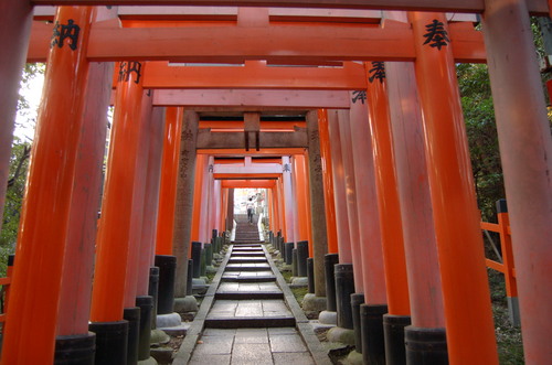 Infinite orange toriis at Fushimi Inari, Kyoto