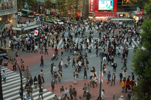 Pedestrian crossing in Shibuya, Tokyo