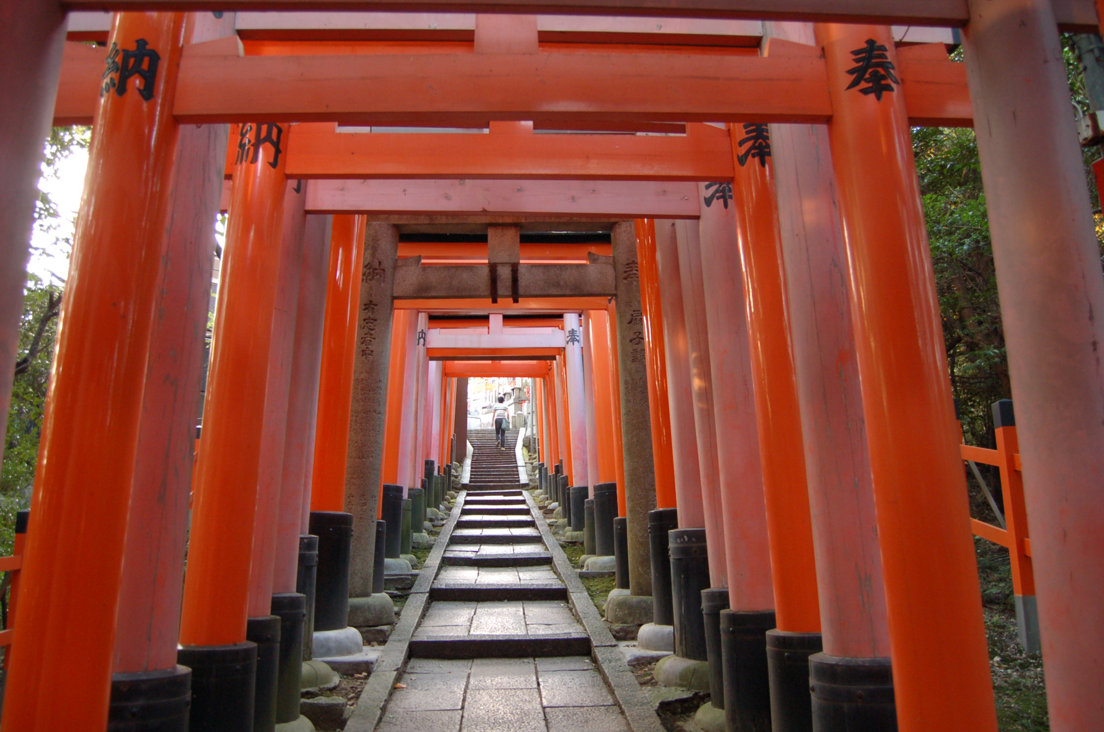 http://www.yearofnoflying.com/2009/11/01/Infinite%20orange%20toriis%20at%20Fushimi%20Inari%2C%20Kyoto.JPG